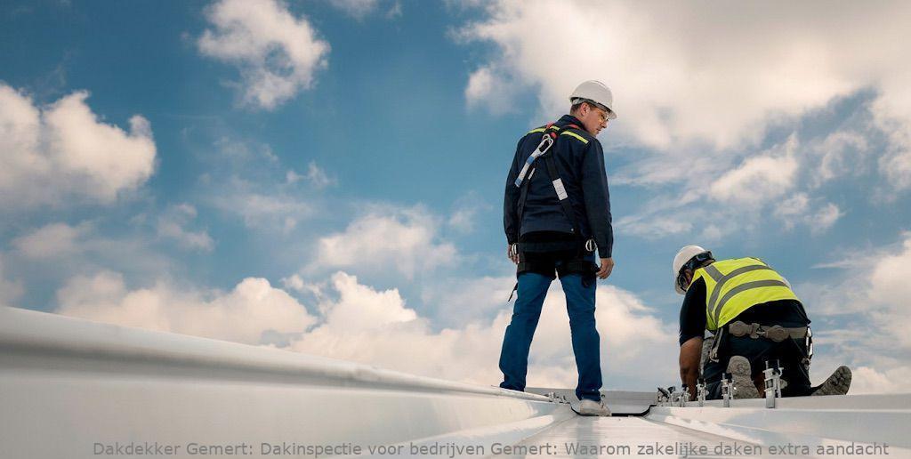 Dakinspectie Voor Bedrijven Gemert