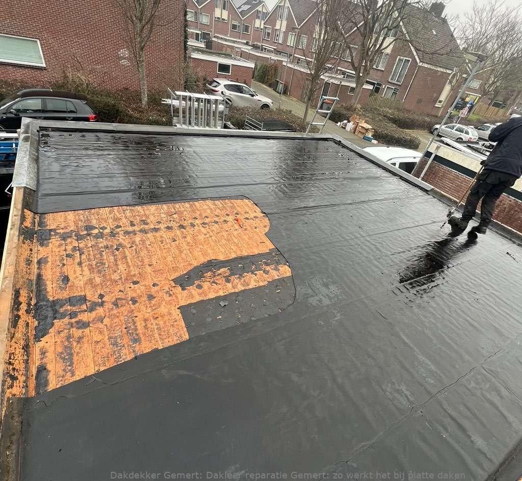 Dakleer Reparatie Gemert