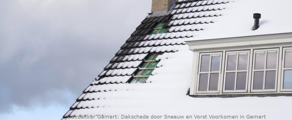 Schade Door Sneeuw En Vorst Gemert